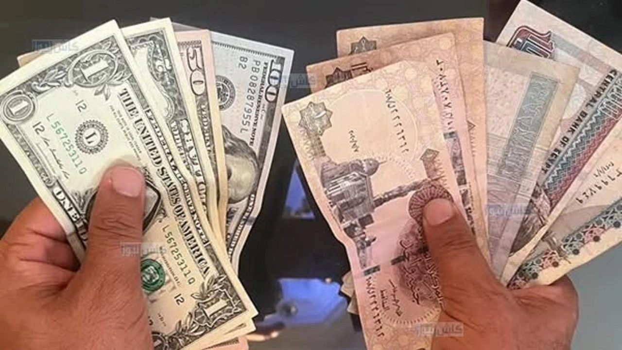 رسالة قوية من الإعلامي محمد علي خير للبنك المركزي المصري بعد تراجع الجنيه